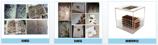 微信图片_2026-06-05_161015_978.png